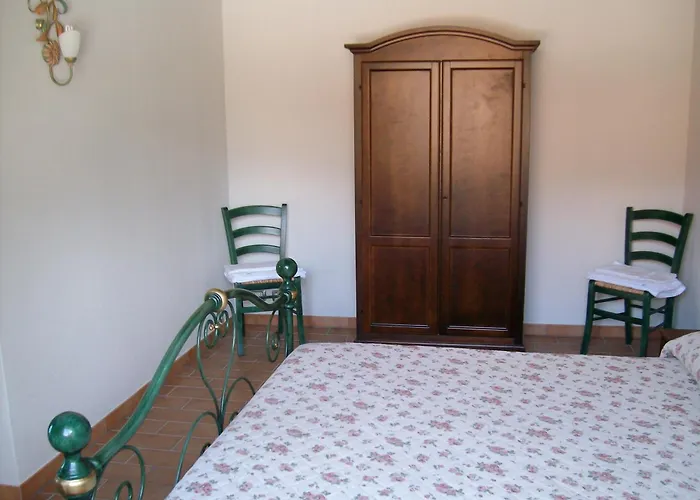 Il Vigneto