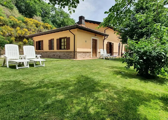 Il Vigneto