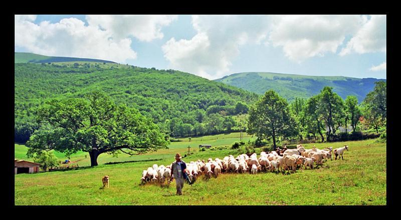 Holiday home Il Vigneto *