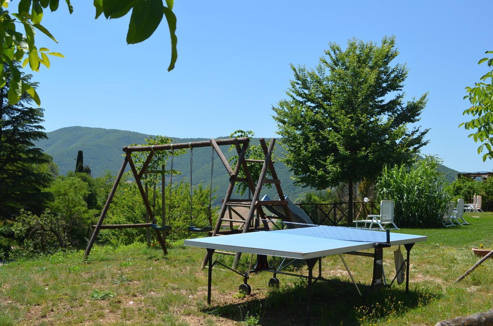 Il Vigneto *